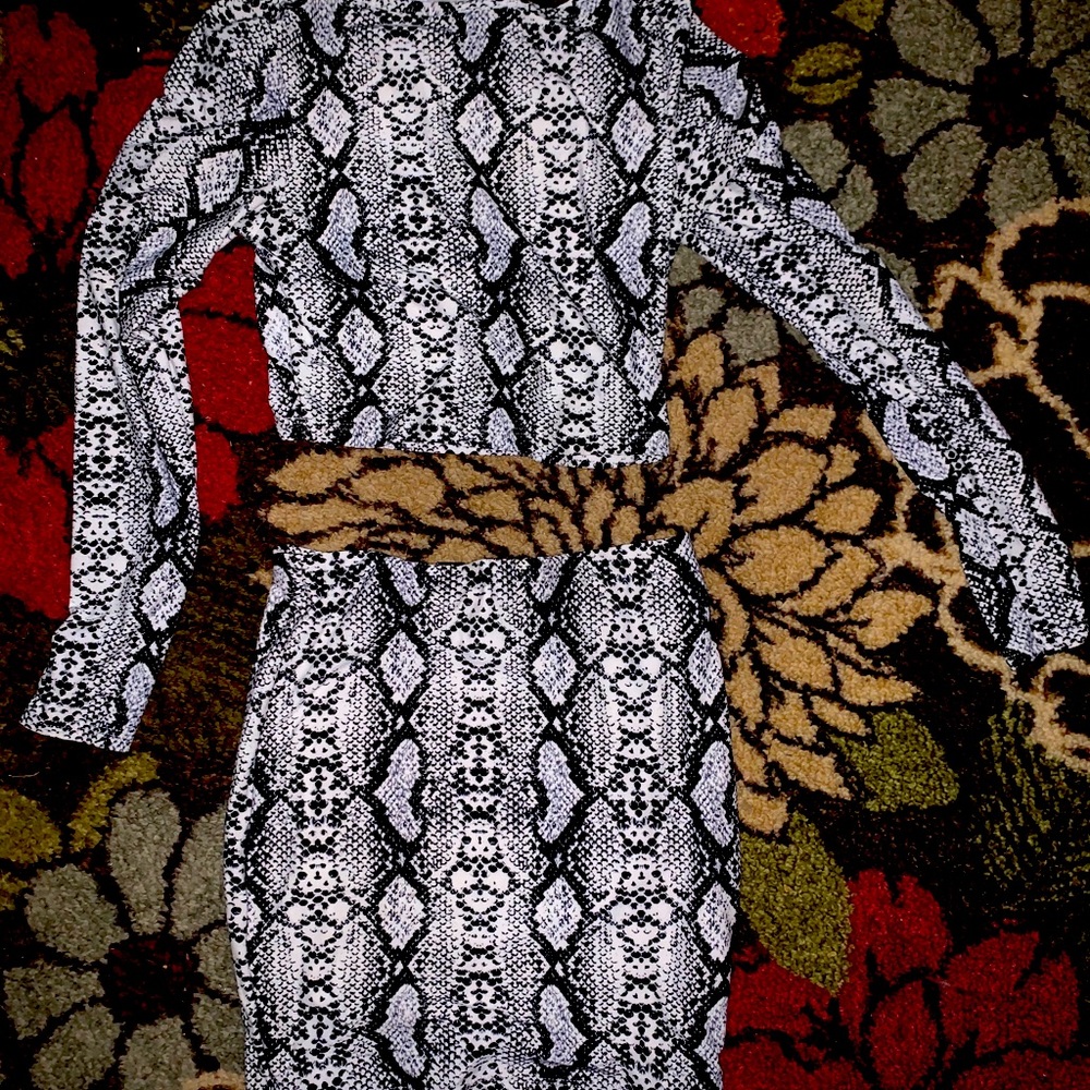 Two Piece Windsor Snake Dress